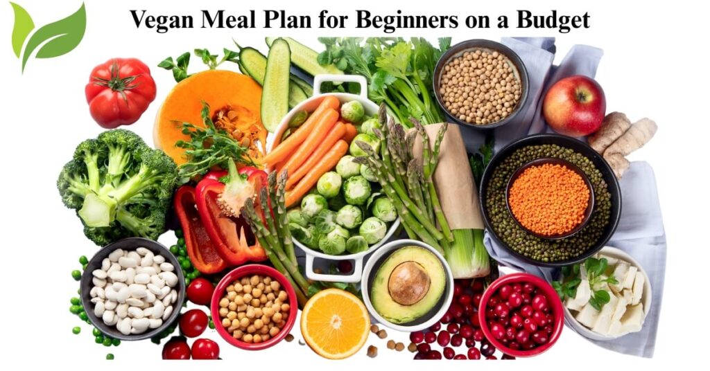 Vegan Meal Plan for Beginners on a Budget